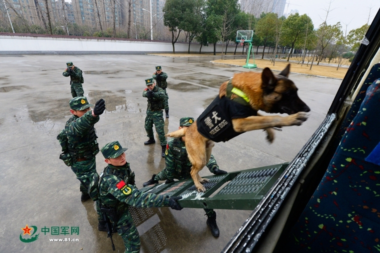 南方朋友注意，近期减少洗澡频率有益健康